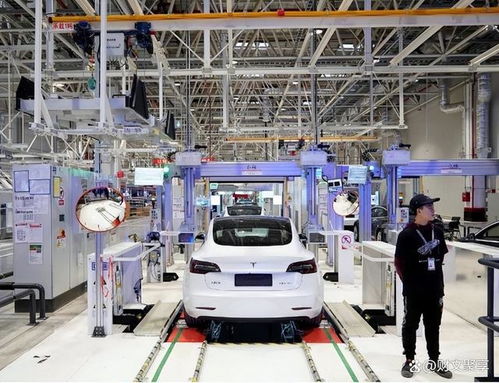 年赚5700亿的特斯拉，上海技术服务岗薪资大揭秘